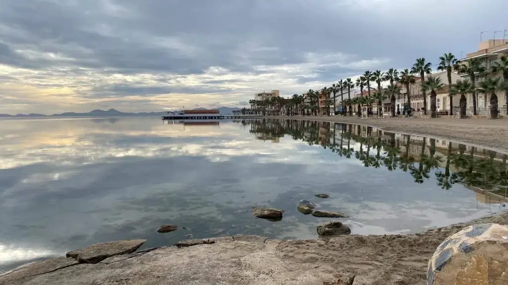 post-blog-flora-y-fauna-mar-menor-costa-los-alcazares-www.restauranteslosalcazares